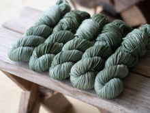 Load image into Gallery viewer, Plankton