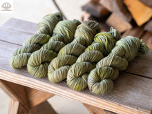 Load image into Gallery viewer, Reindeer Moss