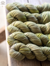 Load image into Gallery viewer, Reindeer Moss