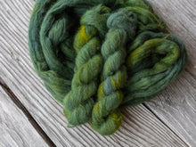 Load image into Gallery viewer, Coniferous