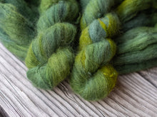 Load image into Gallery viewer, Coniferous