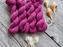 Load image into Gallery viewer, Hugh Boutique