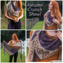 Load image into Gallery viewer, Autumn Crunch Shawl Kit