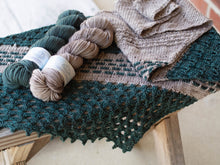 Load image into Gallery viewer, Pineland Shawl Kit