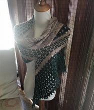 Load image into Gallery viewer, Pineland Shawl Kit