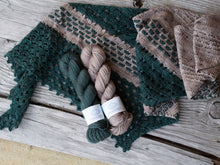 Load image into Gallery viewer, Pineland Shawl Kit
