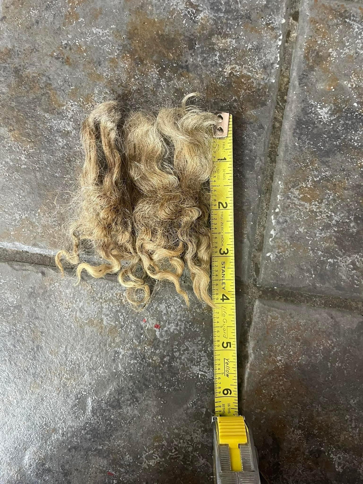 Natural Colored Lincoln Locks for Spinning