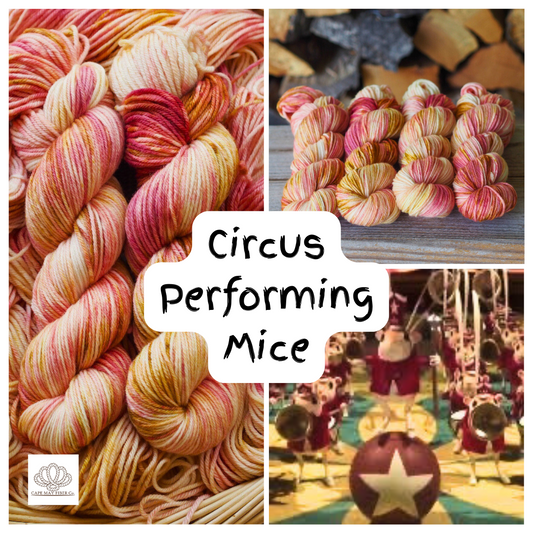 Circus Performing Mice