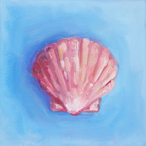 Calico Shell