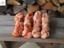 Load image into Gallery viewer, Calico Shell
