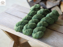 Load image into Gallery viewer, Cape Jasmine and Iron Naturally Dyed DK
