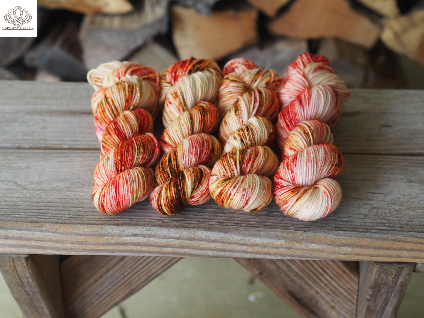 Circus Performing Mice