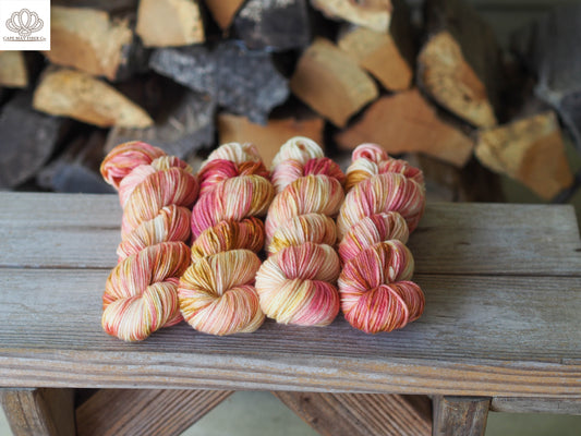 Circus Performing Mice