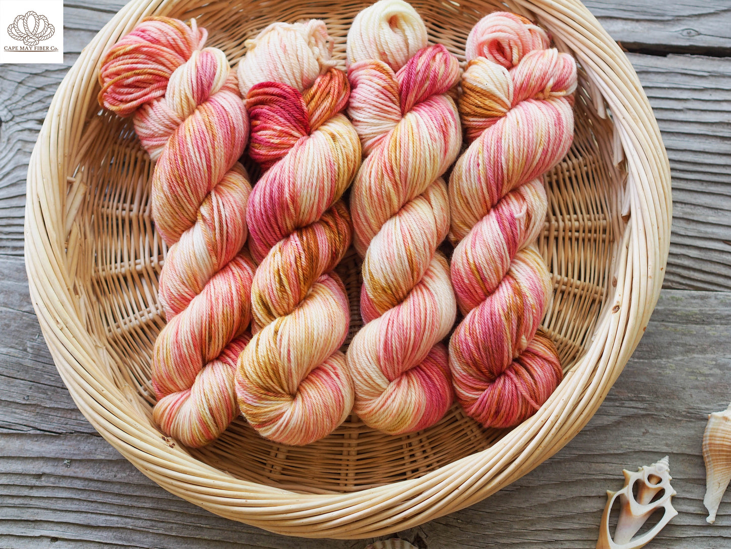 Circus Performing Mice