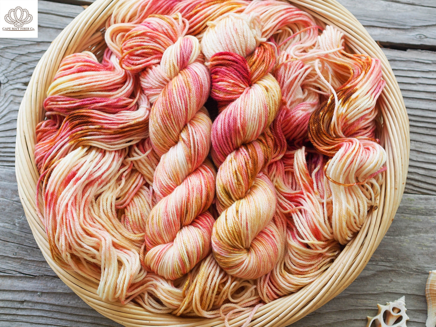 Circus Performing Mice