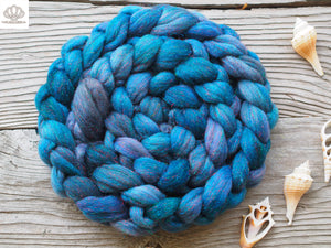Coraline Jones Merino and Glitter Combed Top- 4 oz