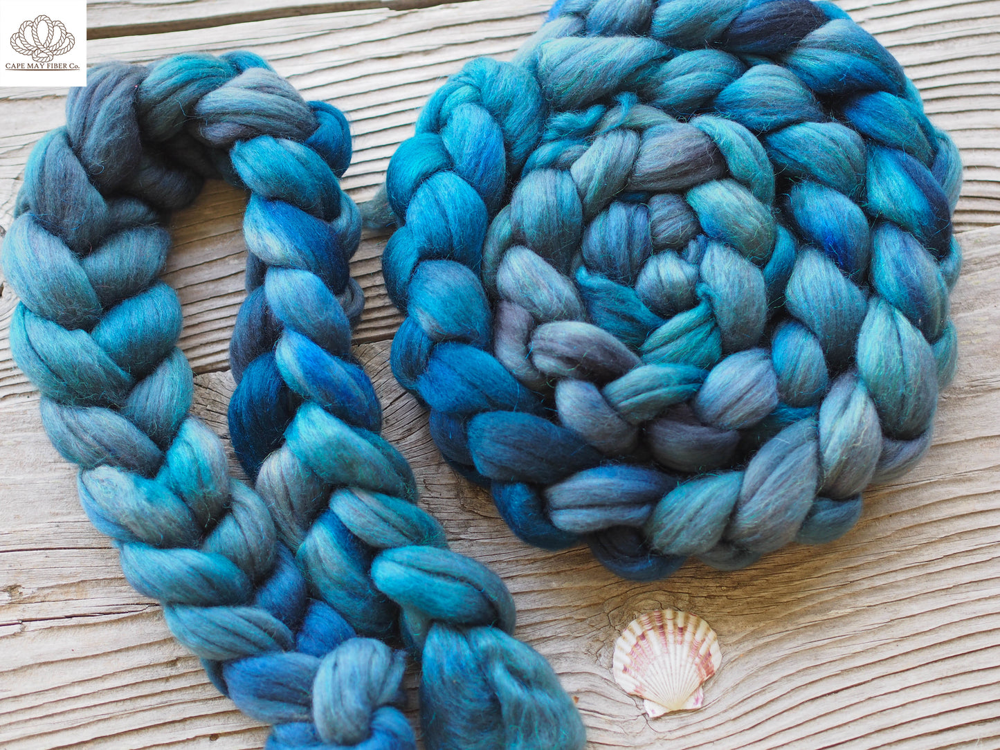 Coraline Jones Merino and Glitter Combed Top- 4 oz