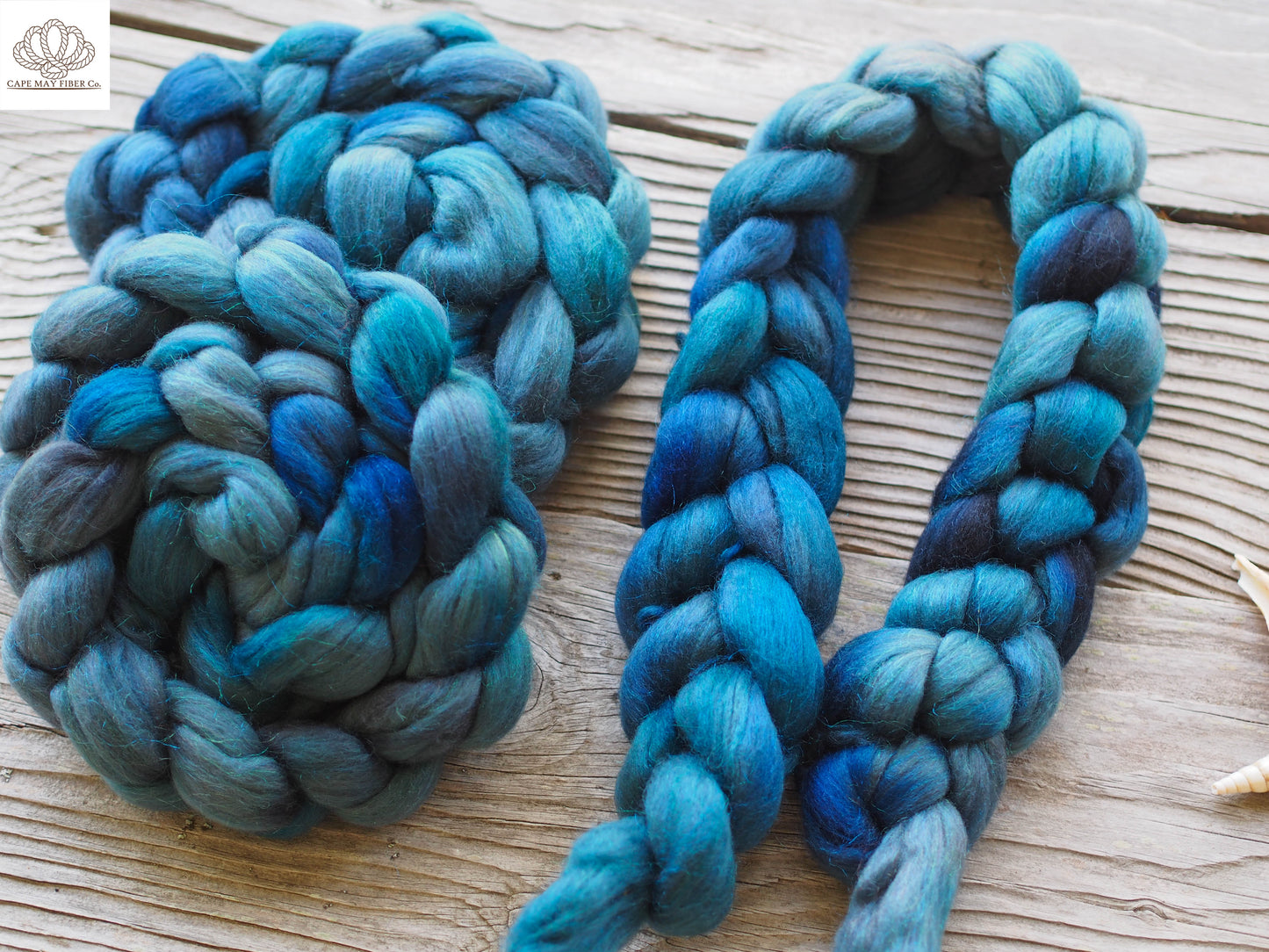 Coraline Jones Merino and Glitter Combed Top- 4 oz