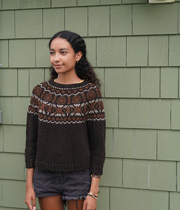 Fenrir Pullover American Alpaca Sport/ DK Knitting Kit Original Colors
