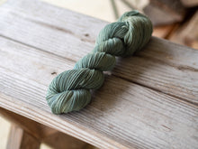 Load image into Gallery viewer, Henna and Indigo Naturally Dyed DK
