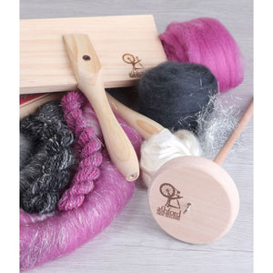 Ashford Introduction to Spinning Kit