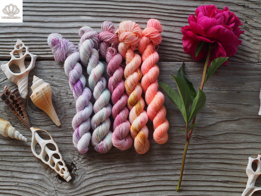 Summer Fruits Sparkle Sock Mini Skein Set of 5
