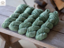 Load image into Gallery viewer, Mulberry Leaf Naturally Dyed DK
