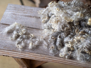 Natural Colored Lincoln Locks for Spinning