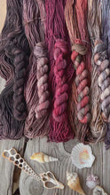 Load and play video in Gallery viewer, Victorian Tea 10 Skein Fade Set
