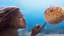 Load image into Gallery viewer, Pufferfish
