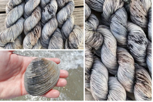 Load image into Gallery viewer, Southern Quahog
