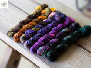 The Worst Witch Mini Skein Set