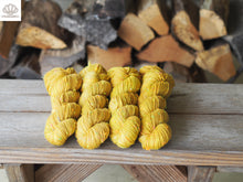 Load image into Gallery viewer, Yellow Jacket
