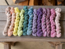 Load image into Gallery viewer, 12 Mini Skein Set Sock Naturally Dyed
