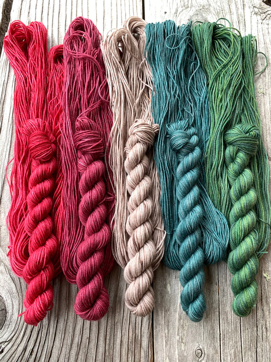 Mini Adventure Sock Holiday Kit