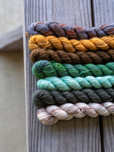 Load image into Gallery viewer, Holiday Feast 7 Mini Skein Set
