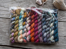 Load image into Gallery viewer, Sea Myths 12 Skein Mini Set in Sock
