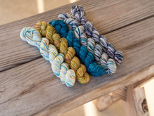 Load image into Gallery viewer, Boggy Depot Mini Skein Sock
