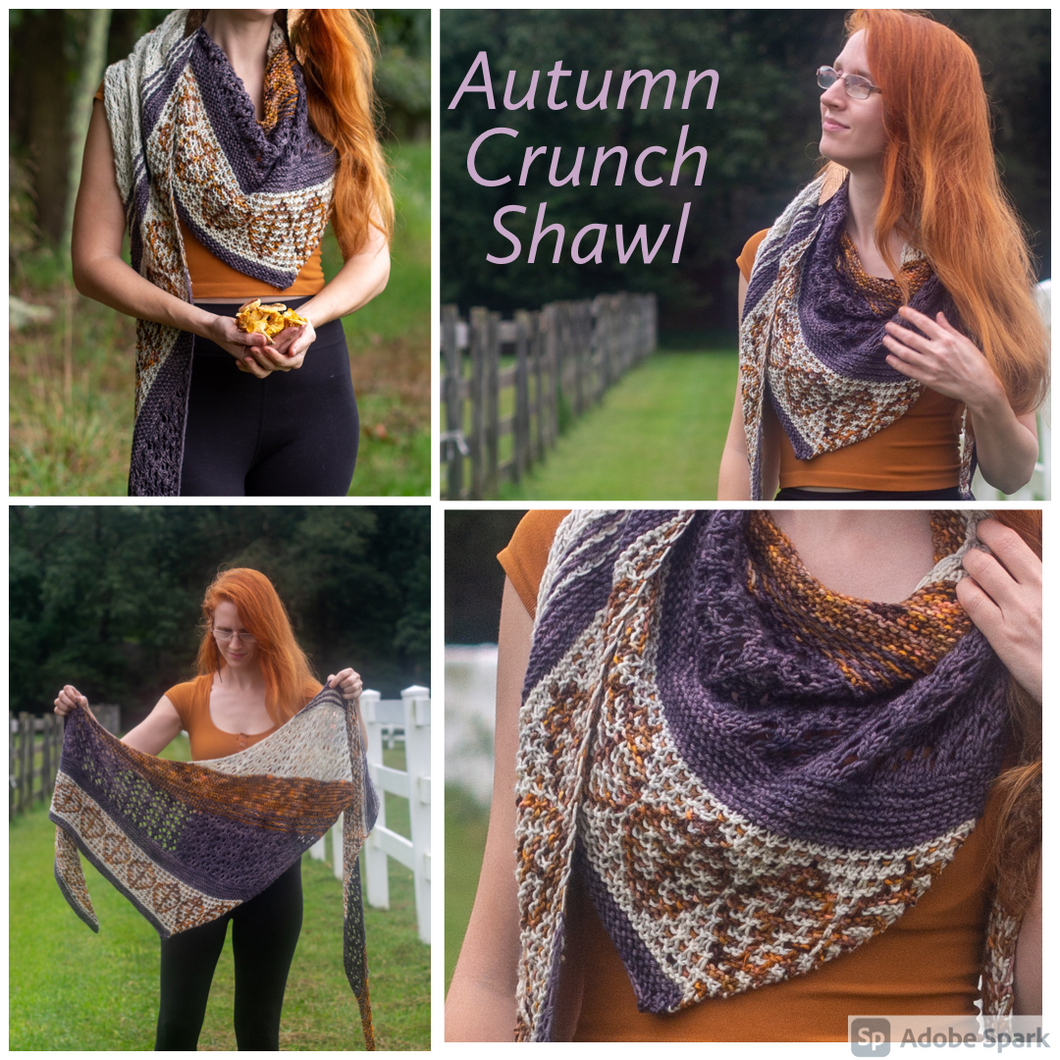 Autumn Crunch Shawl Kit